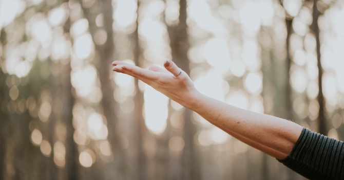 Nutritional Consulting